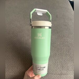 Mint Green Stainless Steel Stanley Tumbler with Straw 30 oz